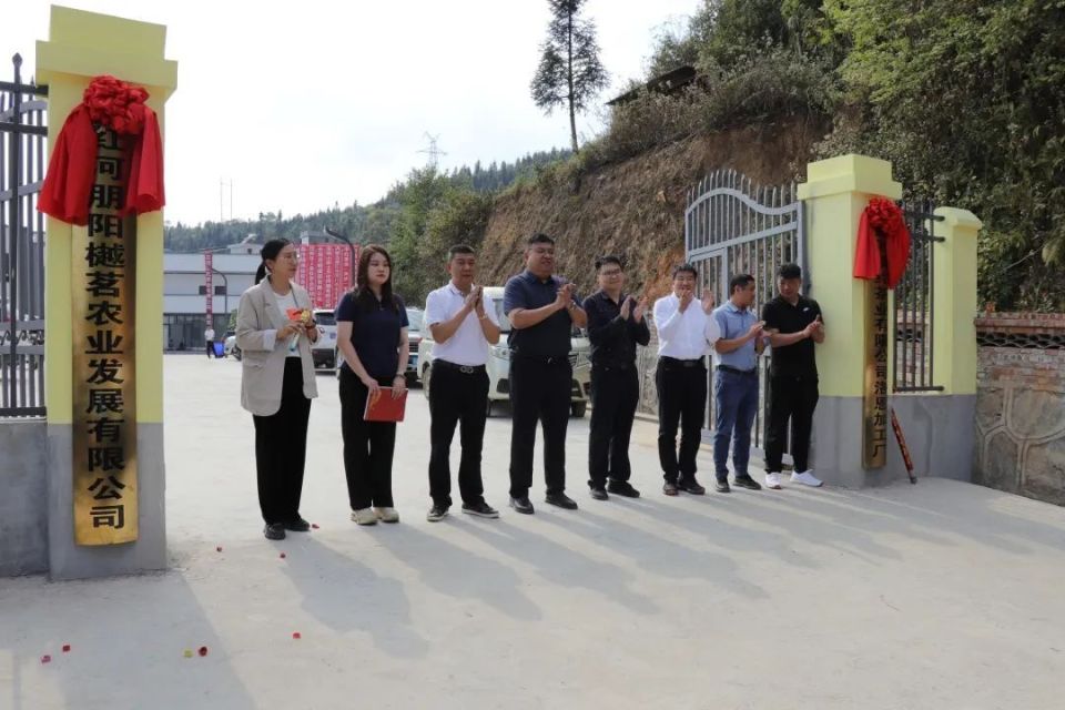 標(biāo)準(zhǔn)化引領(lǐng)新篇章 洛恩鄉(xiāng)茶葉加工廠正式投產(chǎn)助力茶產(chǎn)業(yè)升級
